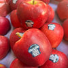 Dazzle New Zealand Danshuo apples are crispy, sweet and juicy in season, freshly imported fruits, Fuji free shipping