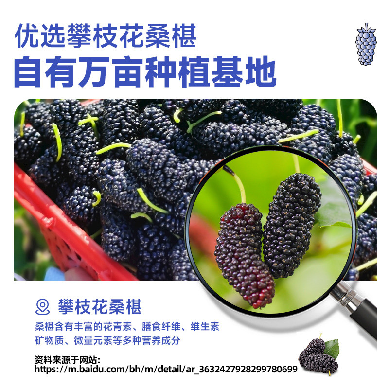 (中国邮政自有品牌)邮政农品桑葚原浆黑桑椹汁30ml*50袋囤够1个月100%鲜果鲜榨
