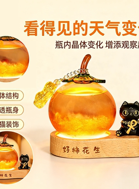 柿柿如意风暴瓶小夜灯