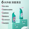 Roujingji Brushless Toilet Cleanser Freshens and Deodorizes
