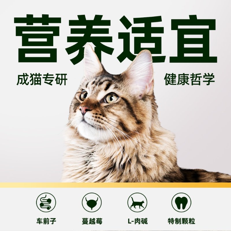 【臻选】伯纳天纯猫粮成年猫咪英短美短毛球管理猫咪主粮22斤11kg,淘宝优惠券,粉丝福利购,淘宝优惠卷