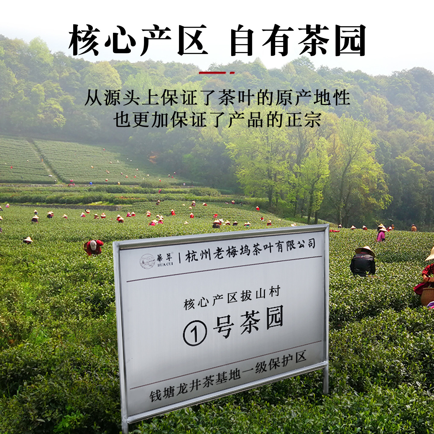 2025新茶华萃明前特级龙井茶叶礼盒装绿茶高档过年货送礼长辈领导,淘宝优惠券,粉丝福利购,淘宝优惠卷