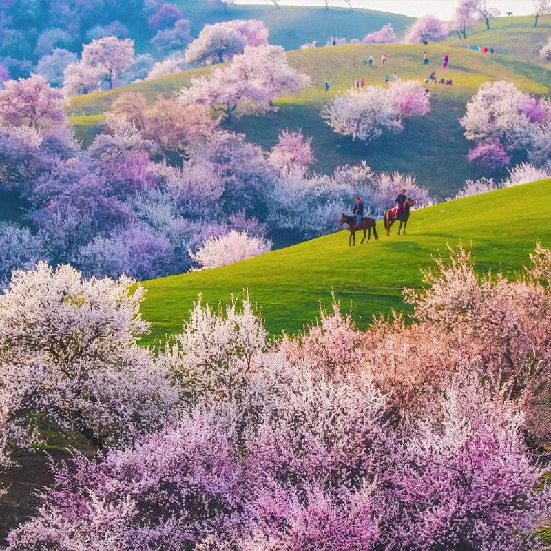 �½��¶����ӻ�7��6������С����