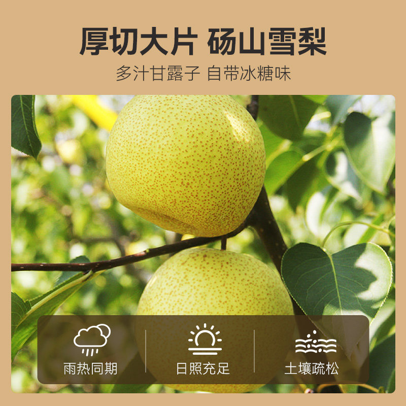 贡苑茶叶水果茶雪梨片竹蔗茅根无花果红枣山楂百合组合养生花茶包,淘宝优惠券,粉丝福利购,淘宝优惠卷