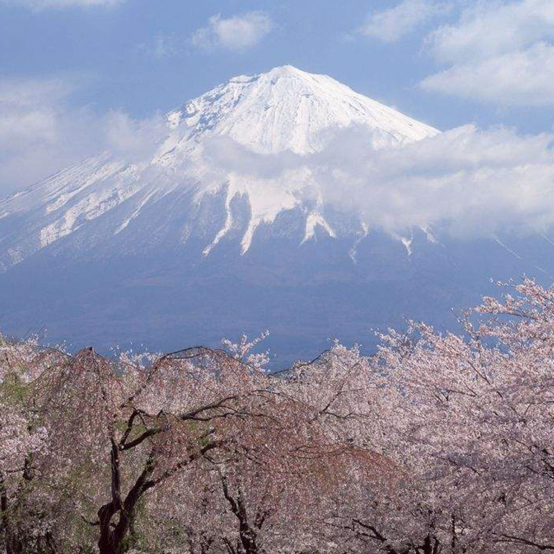 日本东京富士山一日游箱根温泉忍野八海河口湖镰仓旅游酒店接送 - 图2