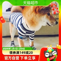 X Puppy shoes not falling for winter set of 4 small medium-sized dogs teddy bib bear bombBeauty pets waterproof all four seasons