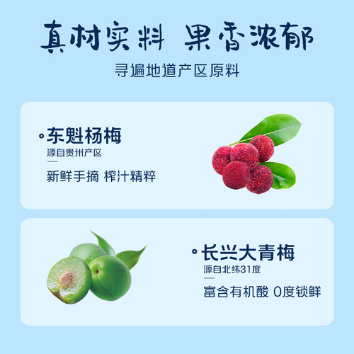 梅见时光梅青梅酒8度单瓶杨梅味梅子酒低度微醺果酒 - 图1