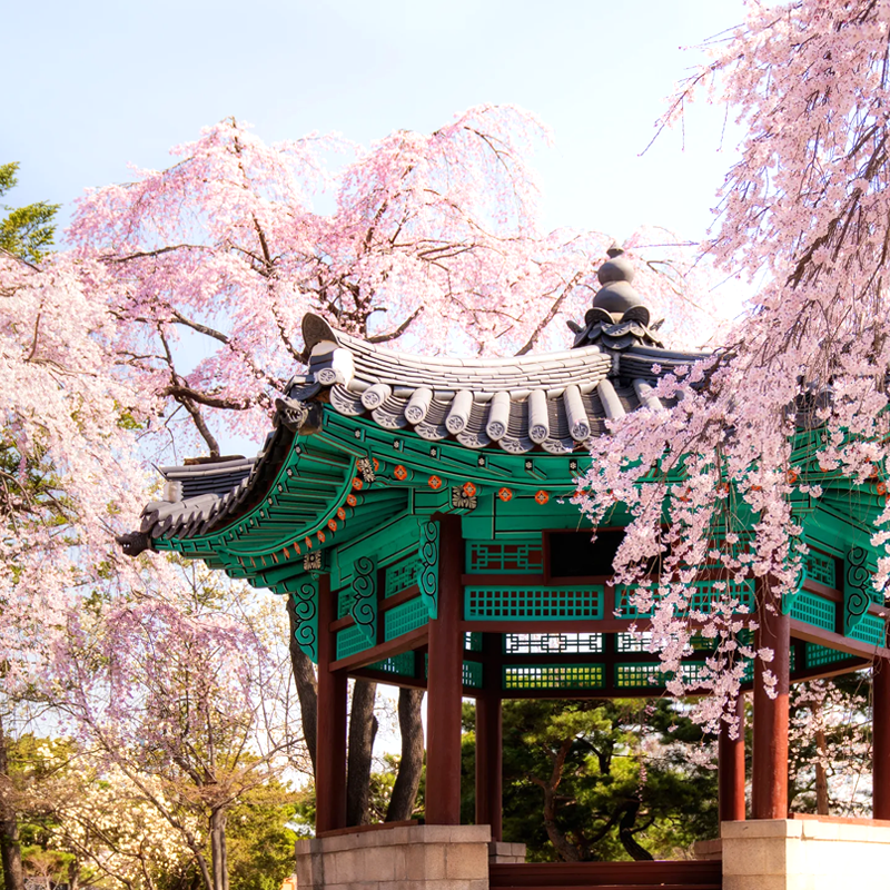 韩国·多次签证·武汉送签·个人旅游签证代办五年十年多次朝鲜族武汉领区湖北湖南河南江西可简化-图1