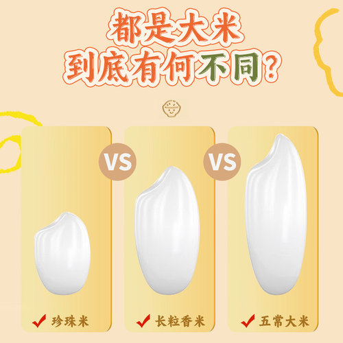 五米常香有机大米五常大米东北粳米2025年新米真空包装 - 图0