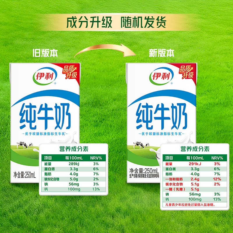 【中秋礼盒】伊利纯牛奶250ml*42盒优质乳蛋白学生营养早餐7月产 图 5