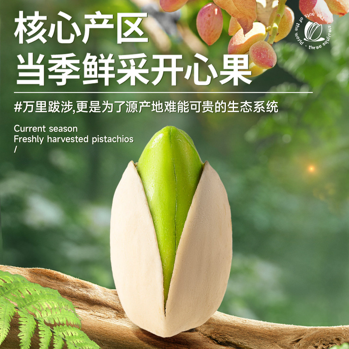 三只松鼠开心果100g*3袋每日坚果休闲零食坚果干网红零食干果