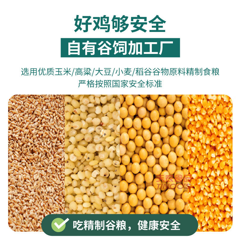 天农清远鸡168天散养走地鸡谷饲土鸡供港整鸡山林走地鸡母鸡新鲜,淘宝优惠券,粉丝福利购,淘宝优惠卷