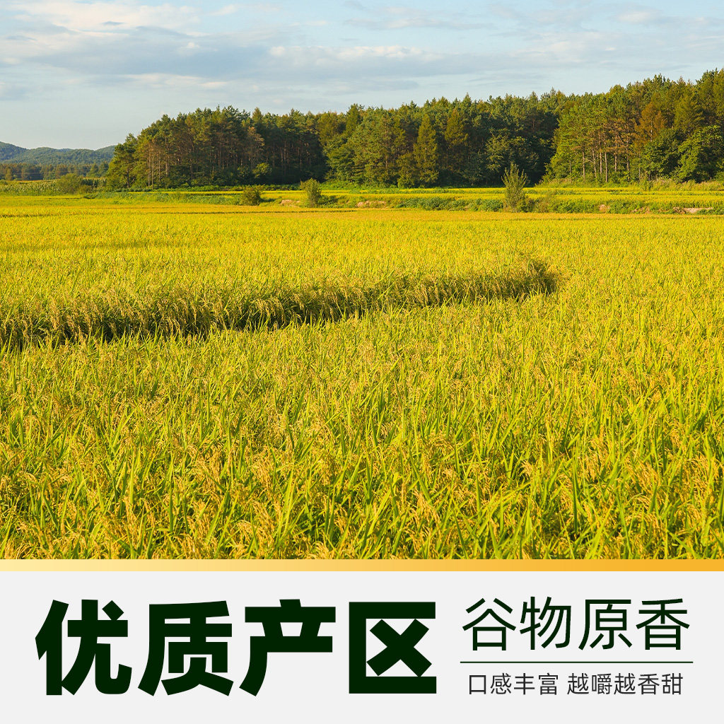 十月稻田五色糙米2.5kg东北粗粮黑米红米糙米青稞燕麦五谷杂粮