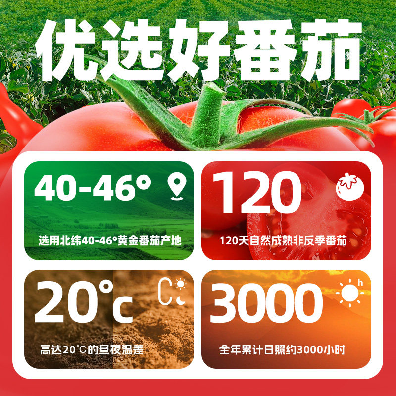 中粮屯河纯番茄汁无添加西红柿汁250ml*24罐无糖果蔬果汁饮料年货