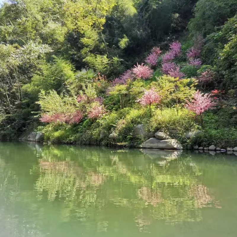 [平利桃花溪景区-门票]安康平利桃花溪景区门票 - 图1