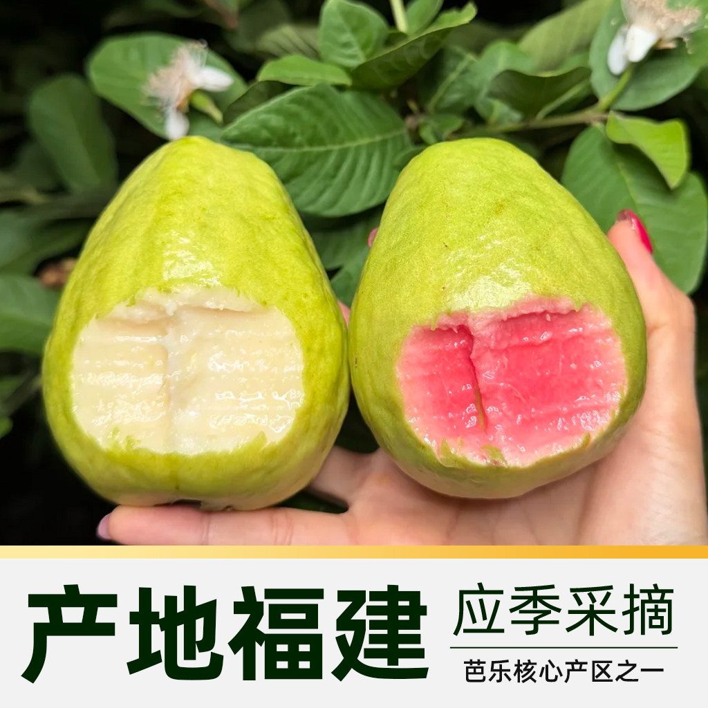 图 3
