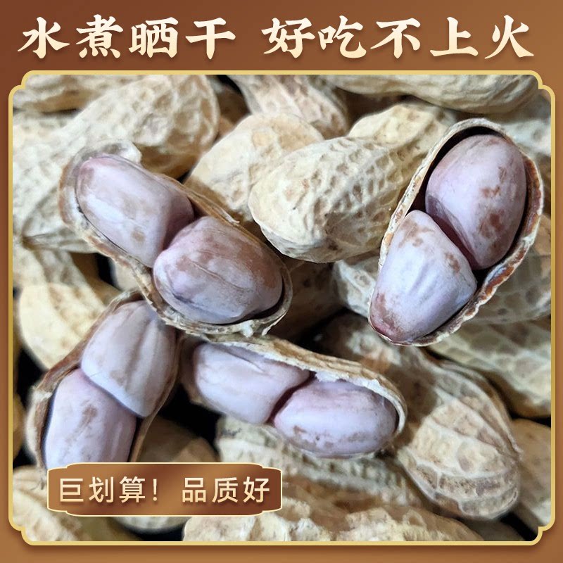 龙岩花生蒜香多味五香白晒水煮花生米晒干带壳坚果炒货解馋小零食