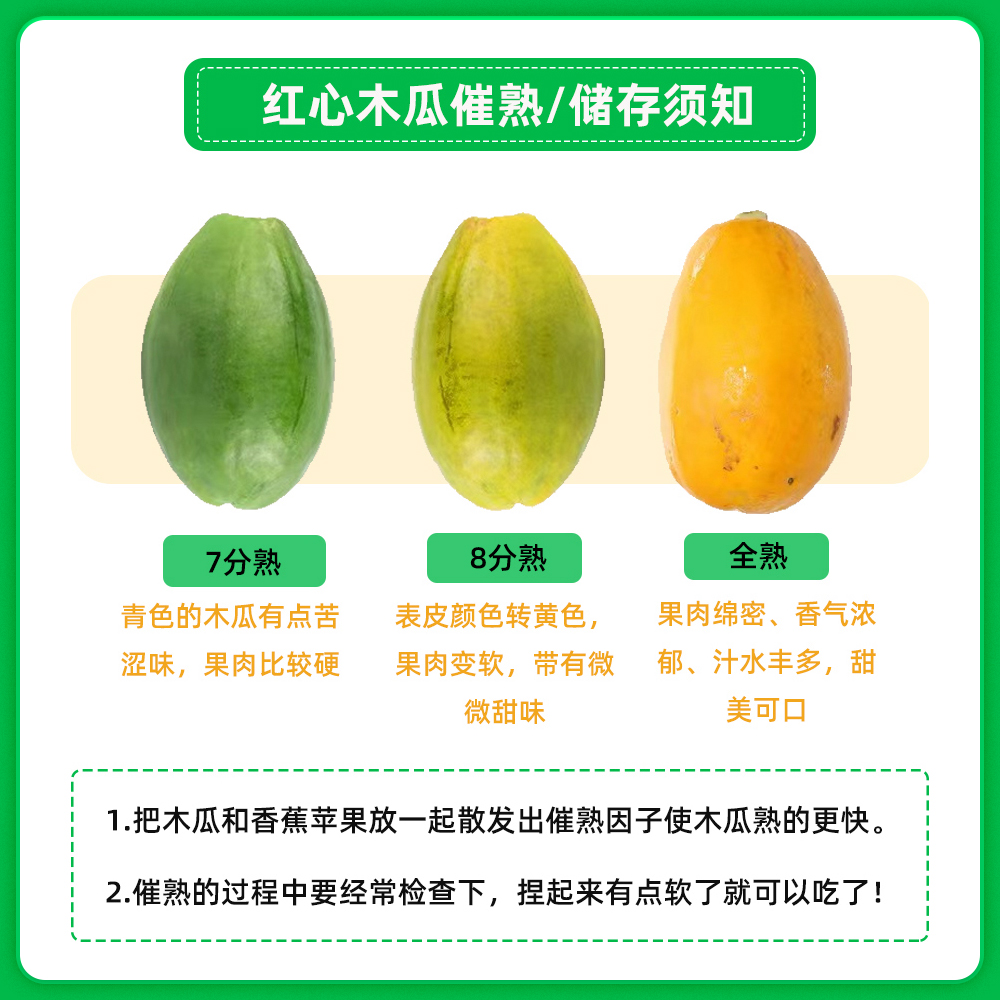 云南红心木瓜8斤单果600g+应季新鲜水果非青木瓜包邮直播 - 图0