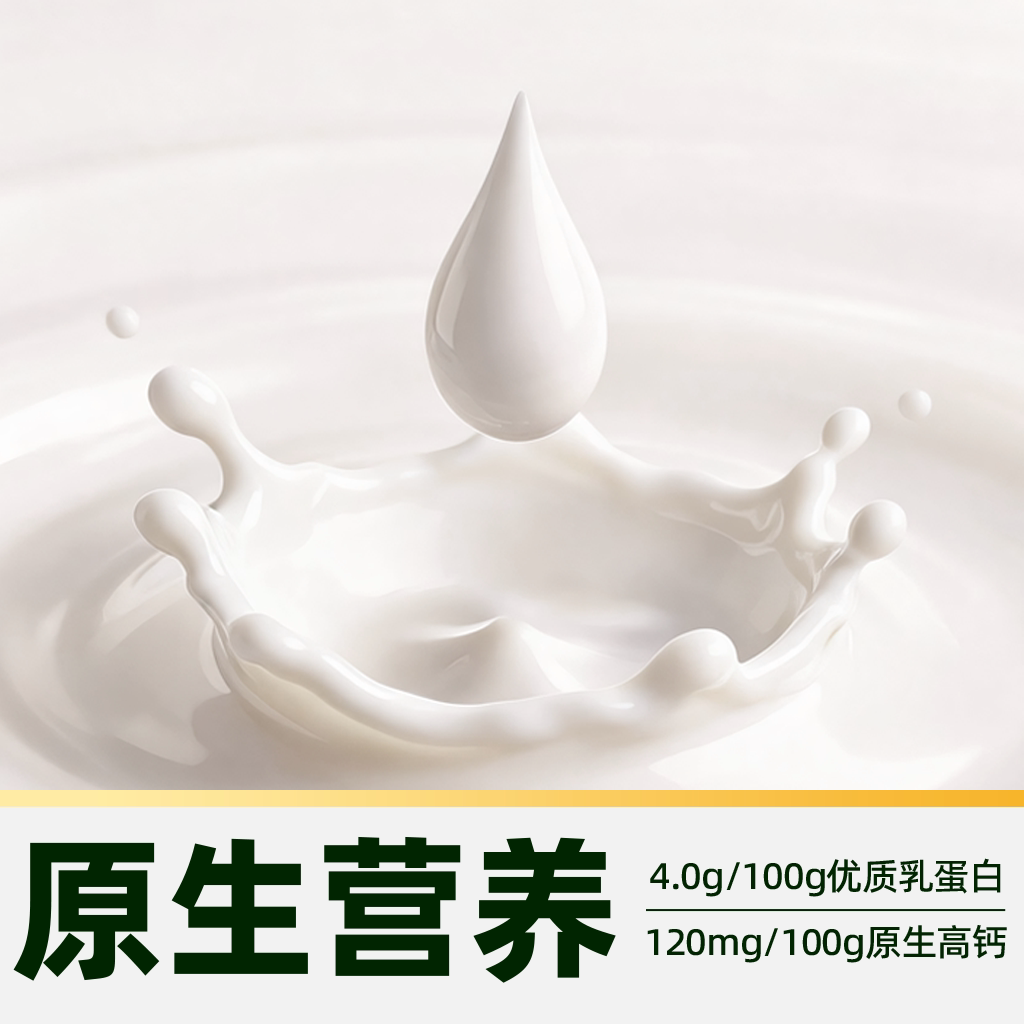 臻选有机娟姗4.0纯牛奶菊乐204g*18盒优质蛋白原生高钙早餐奶整箱