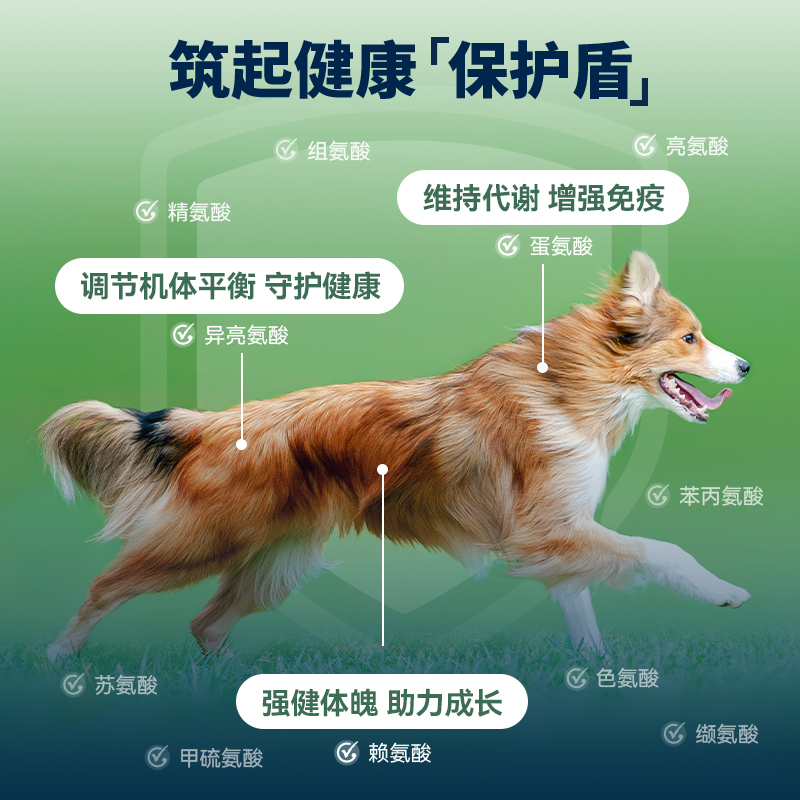 Ziwi滋益巅峰六口味罐头湿粮成犬全龄通用狗罐头宠物狗零食390g - 图3