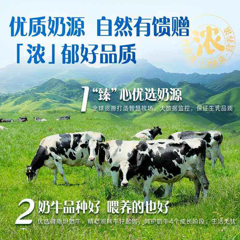【年货礼盒】伊利臻浓牛奶原味250ml*20盒整箱学生早餐咖啡伴侣