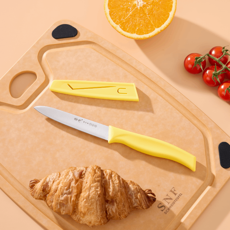 德国百年品牌施耐福进口不锈钢水果刀家用便携瓜果刀高端刀具套装,淘宝优惠券,粉丝福利购,淘宝优惠卷