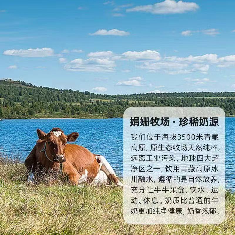 TY4青海湖高原藏酸奶娟姗牧场生牛乳发酵整箱