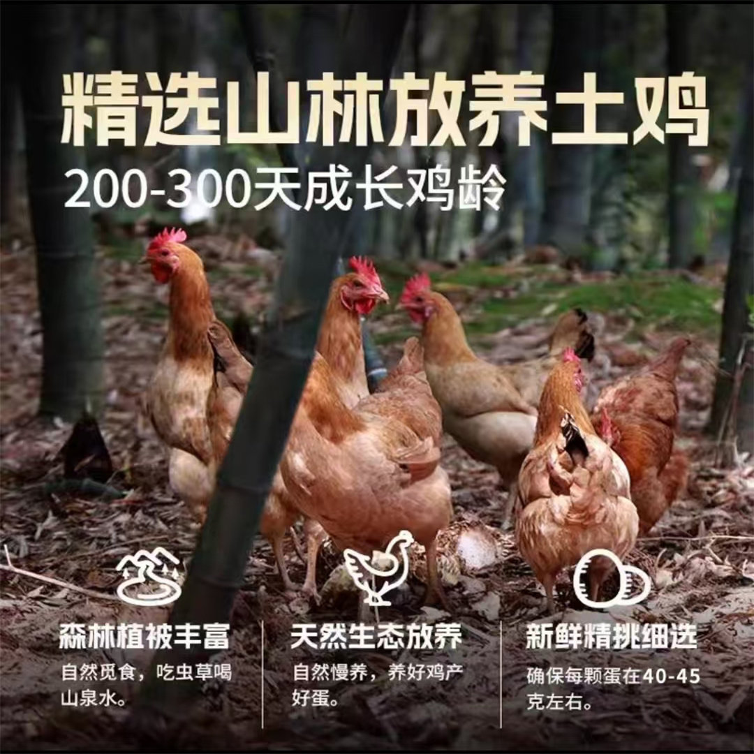 农家谷物鸡蛋新鲜农家散养土鸡蛋柴鸡蛋笨鸡蛋鲜鸡蛋40-50g多规格,淘宝优惠券,粉丝福利购,淘宝优惠卷