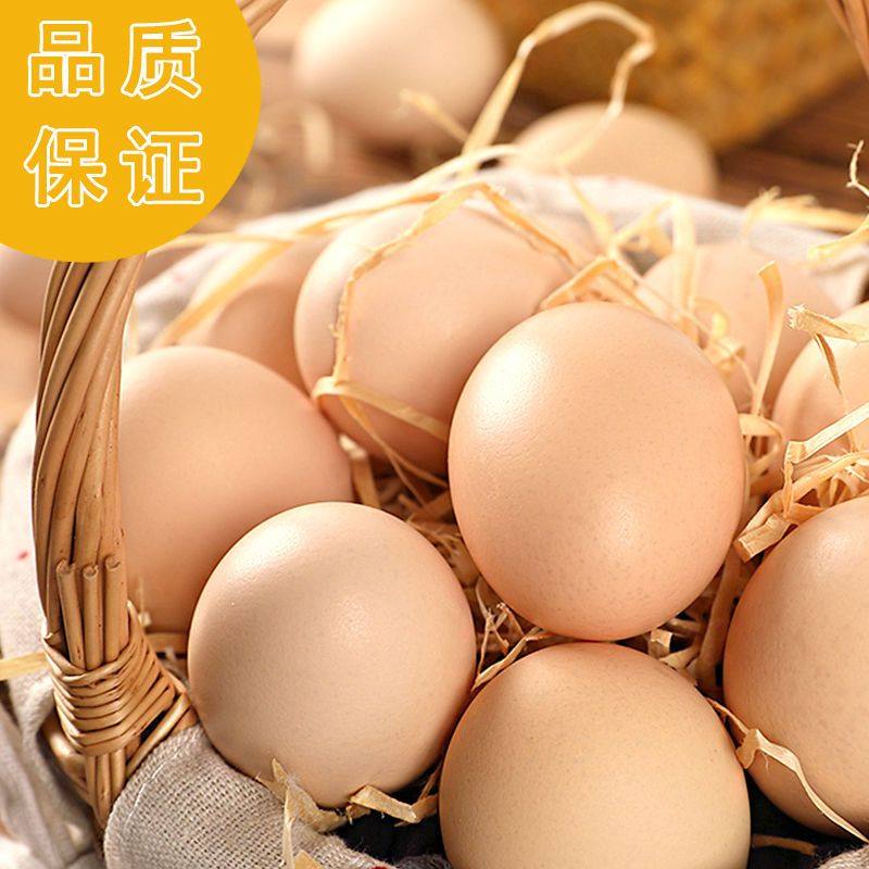 顺丰珍珠棉-50枚正宗土鸡蛋笨鸡蛋新鲜原生态五谷山林散养柴鸡蛋,淘宝优惠券,粉丝福利购,淘宝优惠卷
