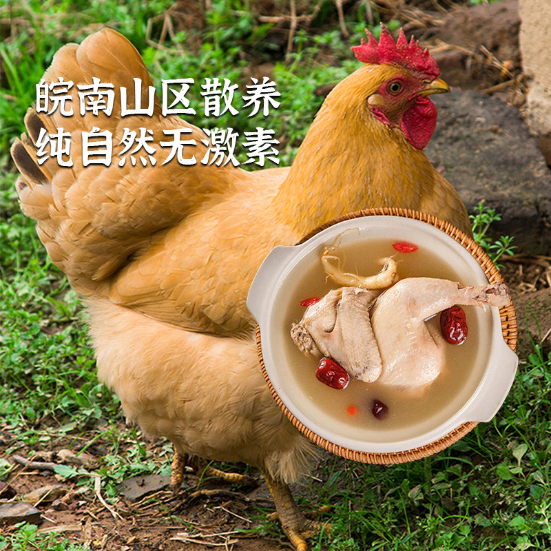 三物纪正宗新鲜皖南黄油老母鸡土鸡土鸡农家整鸡顺丰包邮,淘宝优惠券,粉丝福利购,淘宝优惠卷