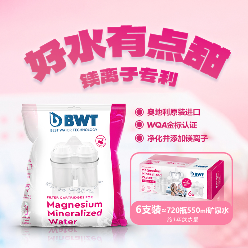 德国倍世镁离子滤芯净水壶过滤器净水器