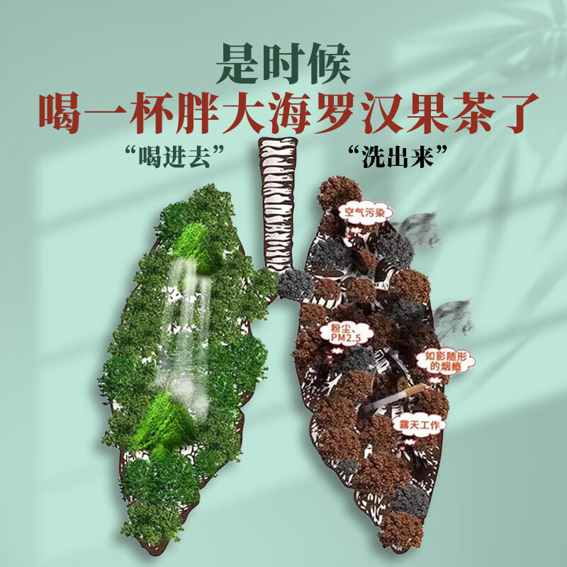 南京同仁堂胖大海罗汉果菊花茶清肺养肺慢性咽炎茶护嗓子养生茶包-图3