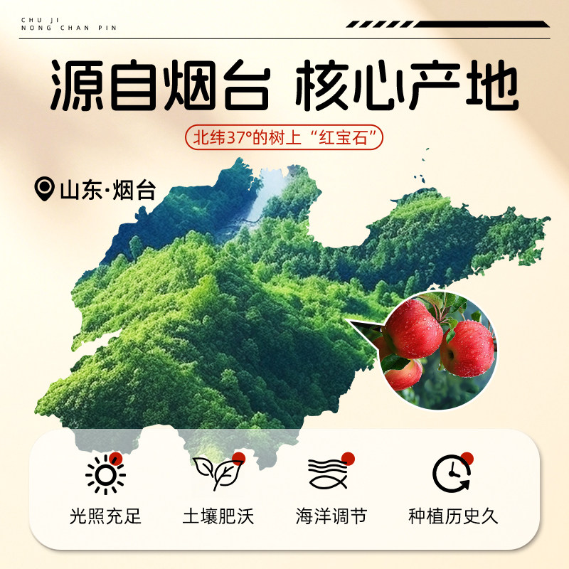 纯苹果干片无蔗糖泡水喝山东烟台非冻干苹果片孕妇儿童养生水果茶,淘宝优惠券,粉丝福利购,淘宝优惠卷