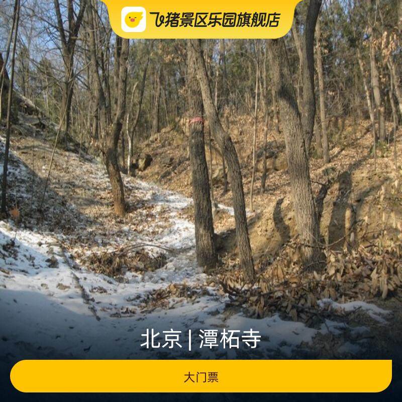 [潭柘寺-大门票]