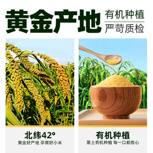 【臻选】燕之坊有机黄小米金玉小黄米新米五谷杂粮米粗粮月子米粥