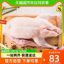 Old Du Farmhouse Whole Cherry Valley Duck Scattered and Ducks 1kg Fresh Frozen Raw Fresh Health Nourishing Saucepan Soup