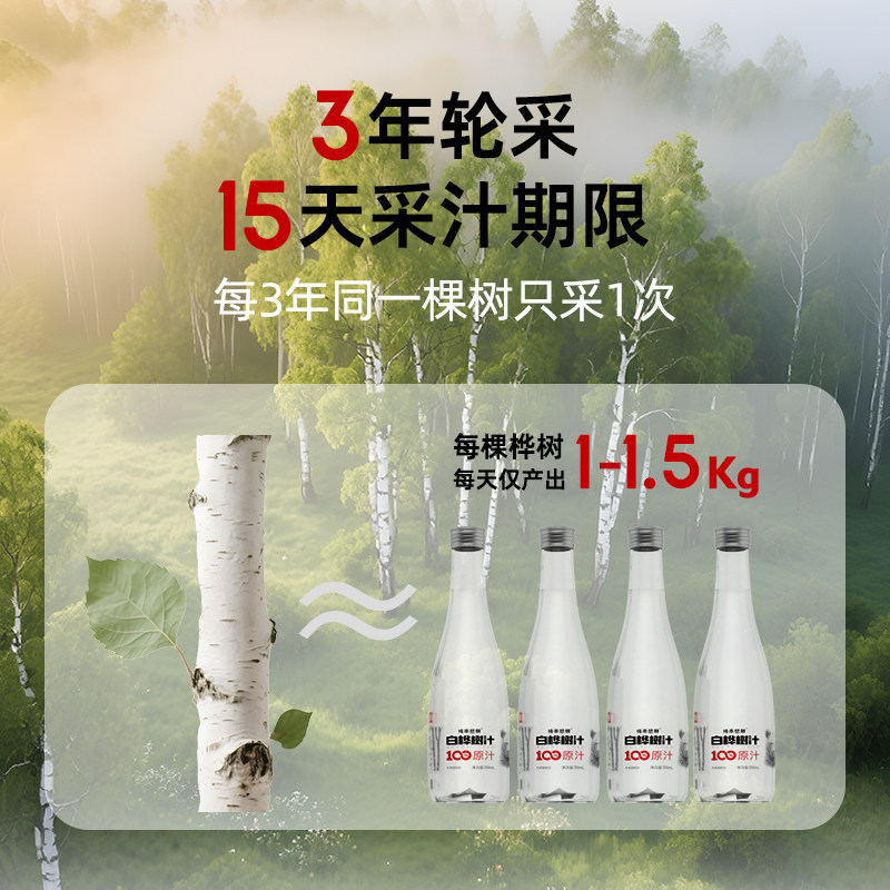 纯本悠鲜100%白桦树汁310mlx6瓶玻璃款装0脂原汁植物饮料礼盒送礼