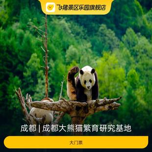 大门票 成都大熊猫繁育研究基地