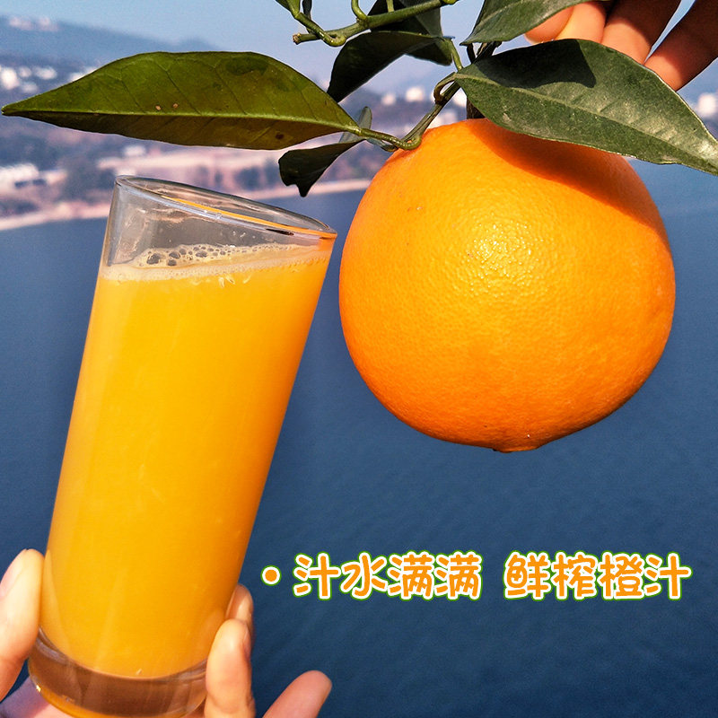 湖北秭归纽荷尔脐橙应季新鲜水果酸甜多汁时令鲜橙子