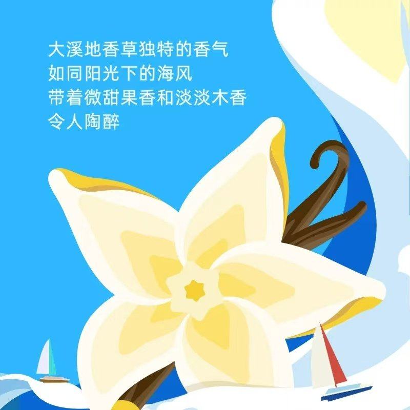 【10月产】伊利安慕希希腊风味香草味酸奶整箱学生营养早餐便携装