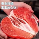 平和红心蜜柚整箱包邮新鲜到家