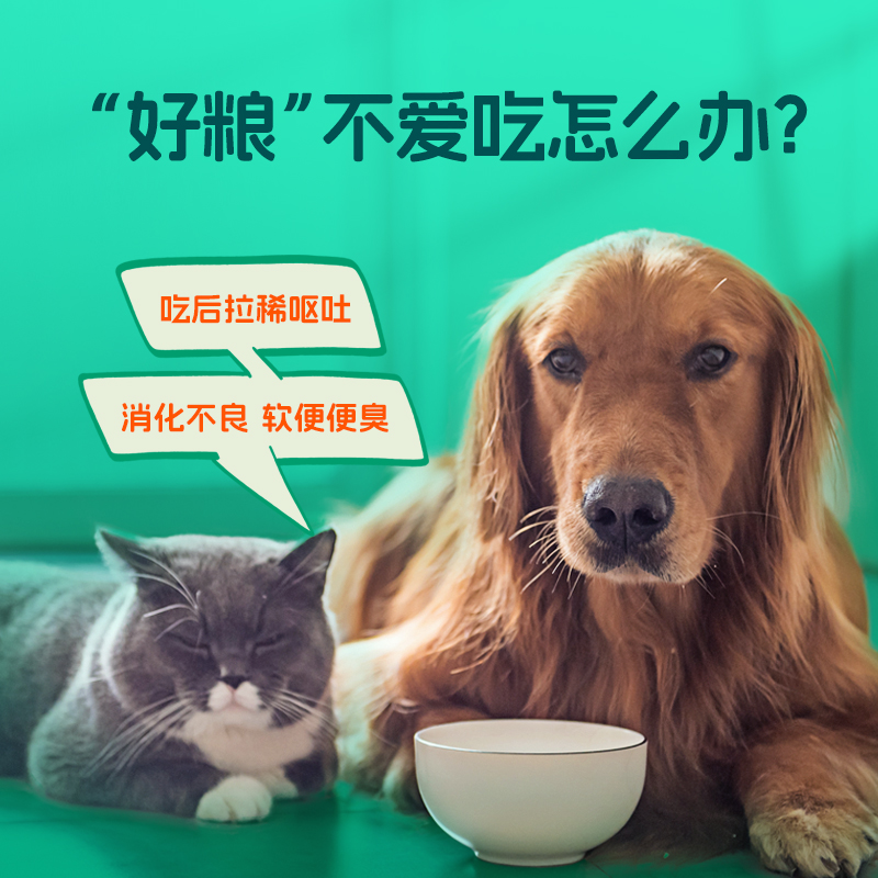 小宠肠胃宝宠物益生菌狗狗猫咪专用泰迪幼犬高活性菌肚子调理肠胃 - 图0