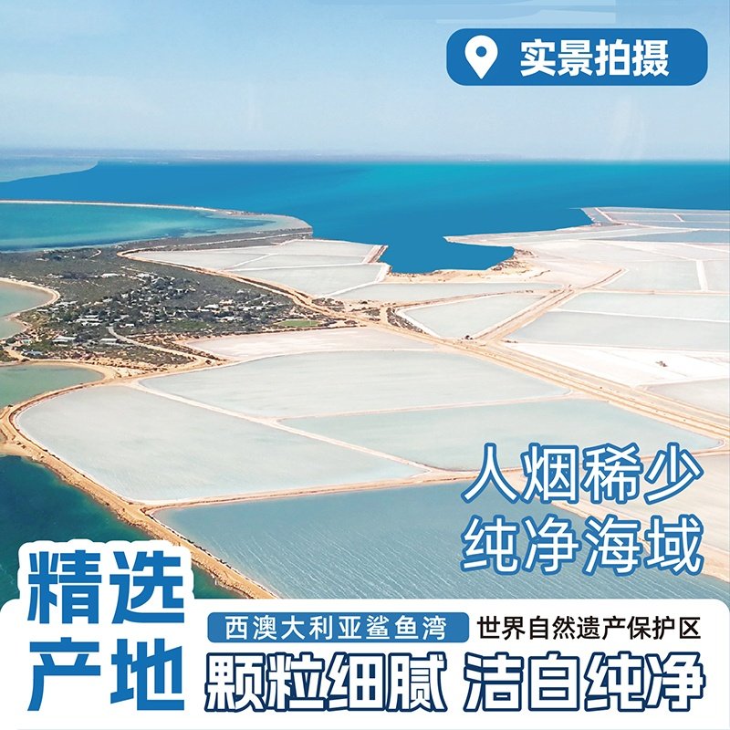 浙盐雪涛未加碘精制海盐260g*9袋家用无碘盐调味料咸鲜无抗结剂