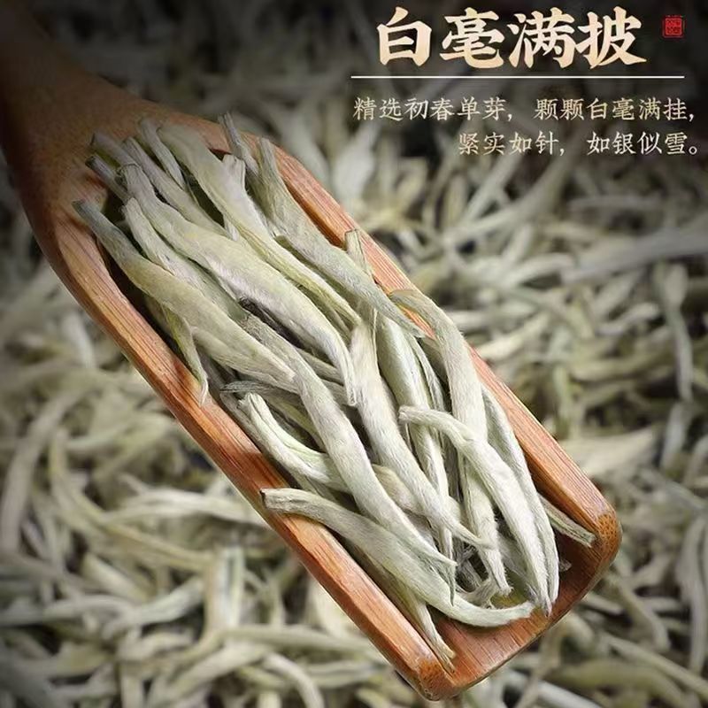 9A级白毫银针全芽头特级正宗白茶高山古树雪芽月光白浓香 - 图2