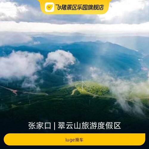 [翠云山旅游度假区-luge滑车]