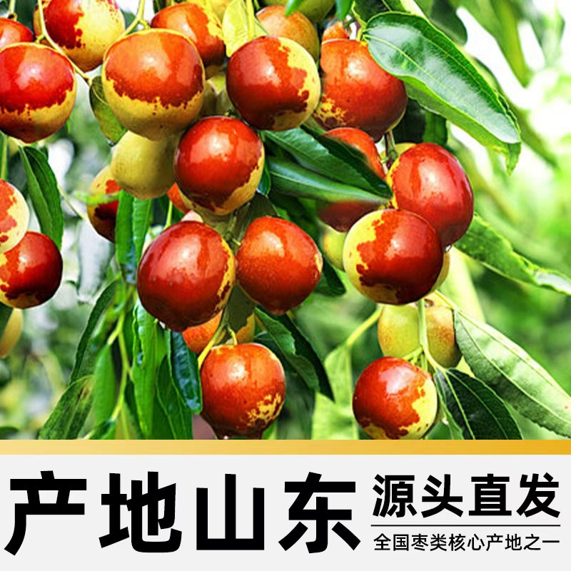 图 4