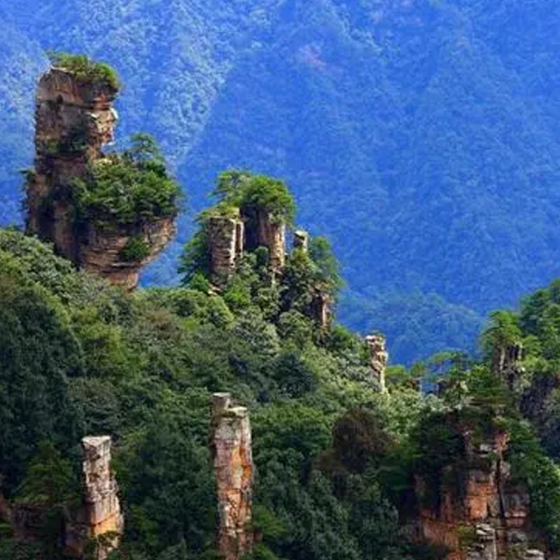 湖南长沙包车旅游商务张家界天门山衡山私家纯玩旅游用车服务 - 图1