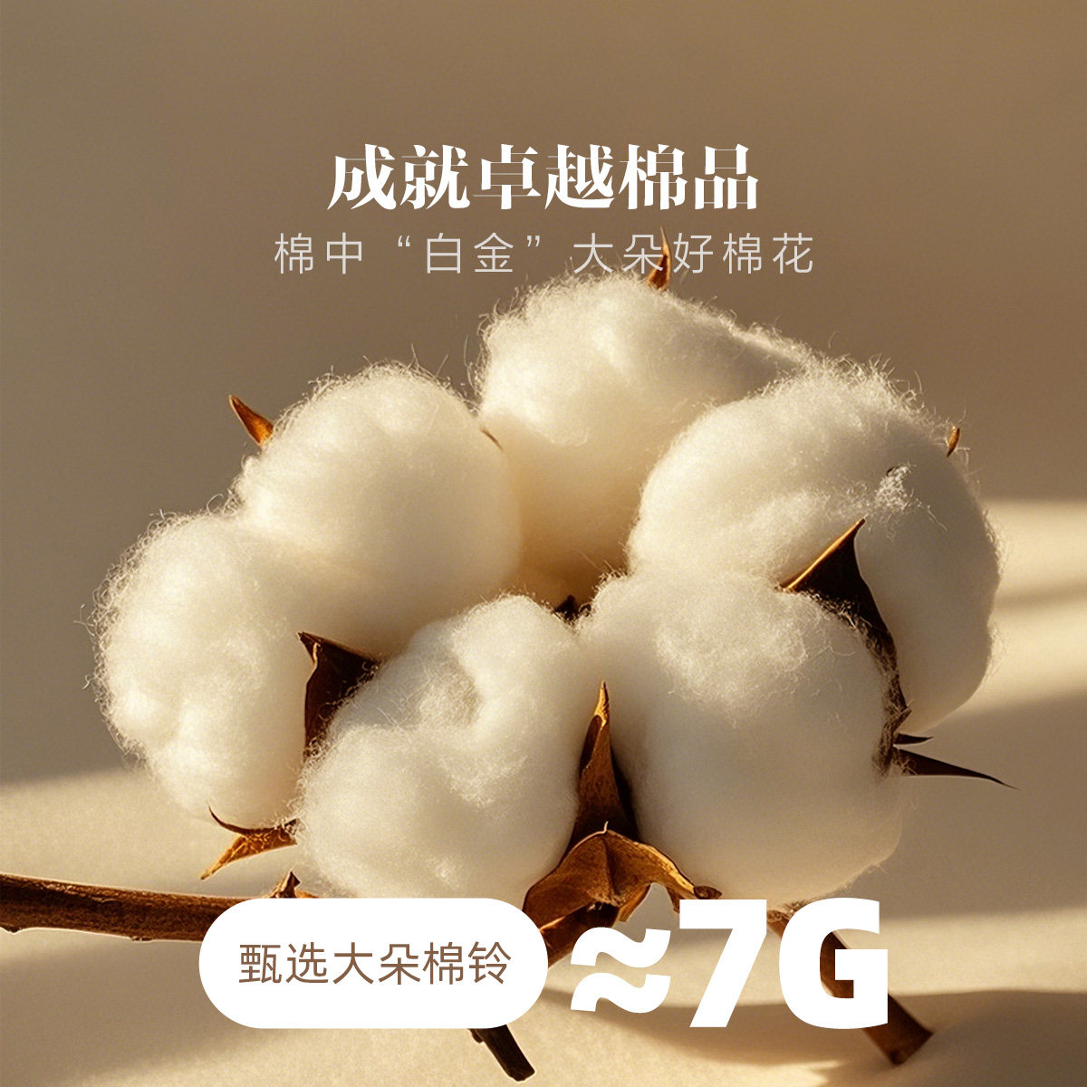 水星家纺棉花被冬被60S长绒棉新疆棉