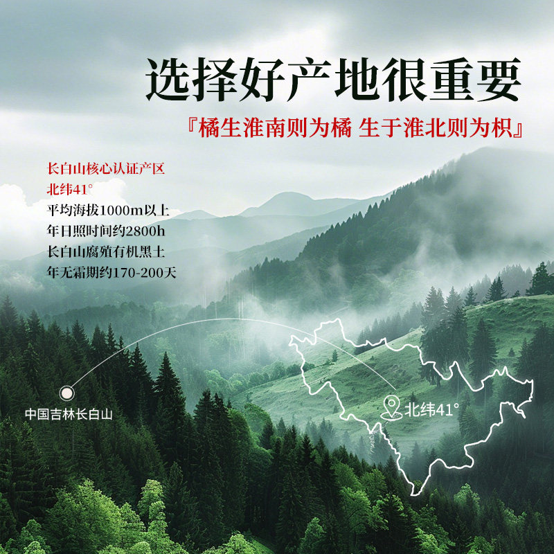 长白山人参林下参20g约4-5支干参整根煲汤泡酒中秋节送礼滋补礼品,淘宝优惠券,粉丝福利购,淘宝优惠卷