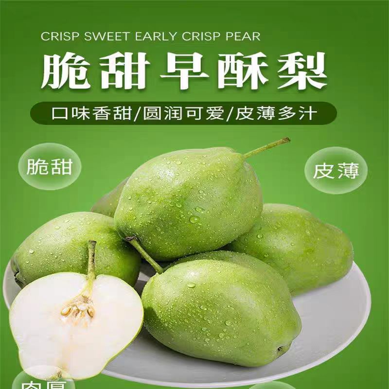 早酥梨新鲜孕妇水果脆甜薄皮农家自种4.5斤应季头茬现摘现发梨子